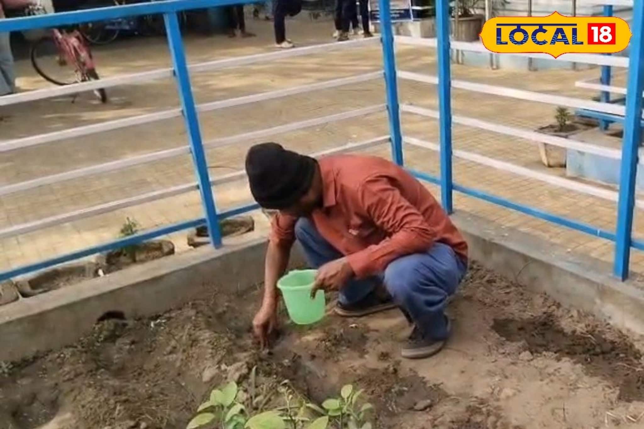 পুষ্টির সাতসতেরো জানবে পড়ুয়ারা, পাতে টাটকা শাক-সবজি! মিড-ডে-মিলের রসদ মিলবে স্কুলেই