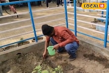 Kitchen Garden: পুষ্টির সাতসতেরো জানবে পড়ুয়ারা, পাতে পড়বে টাটকা শাক-সবজি! মিড-ডে-মিলের রসদ মিলবে স্কুলেই