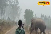 Jhargram News: শীতের রাতে দল বেঁধে ২৫ হাতির হানা! মরতে মরতে বাঁচলেন মা-ছেলে, হাড় হিম কাণ্ড ঝাড়গ্রামে