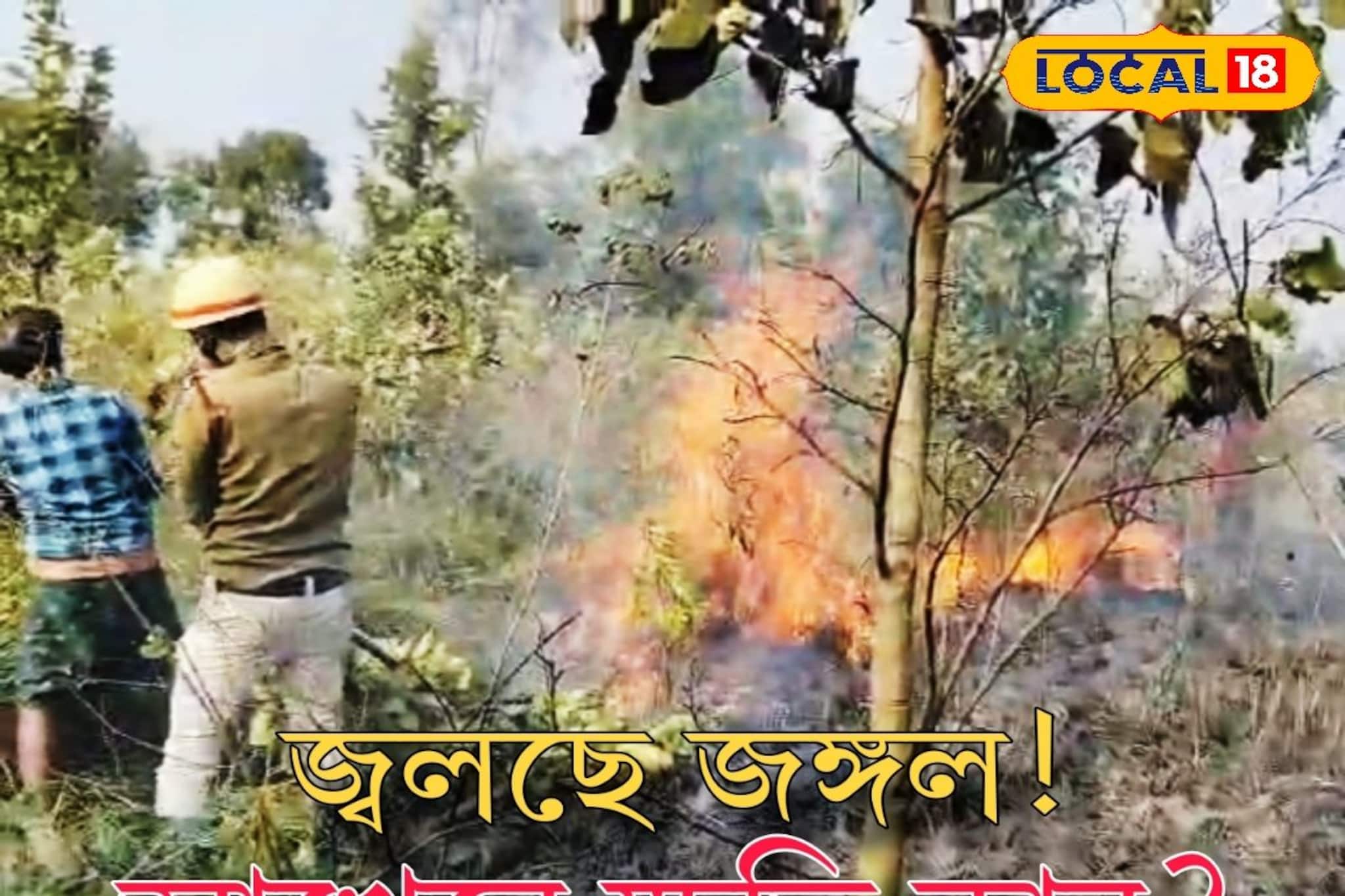 অতি উৎসাহীদের সাময়িক আনন্দে ব্যাপক ক্ষতি পরিবেশের! জঙ্গলে আগুন বিপদে ফেলছে সকলকে