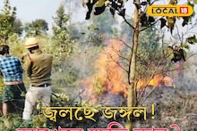 West Medinipur News: অতি উৎসাহীদের সাময়িক আনন্দে ব্যাপক ক্ষতি পরিবেশের! জঙ্গলে আগুন বিপদে ফেলছে সকলকে