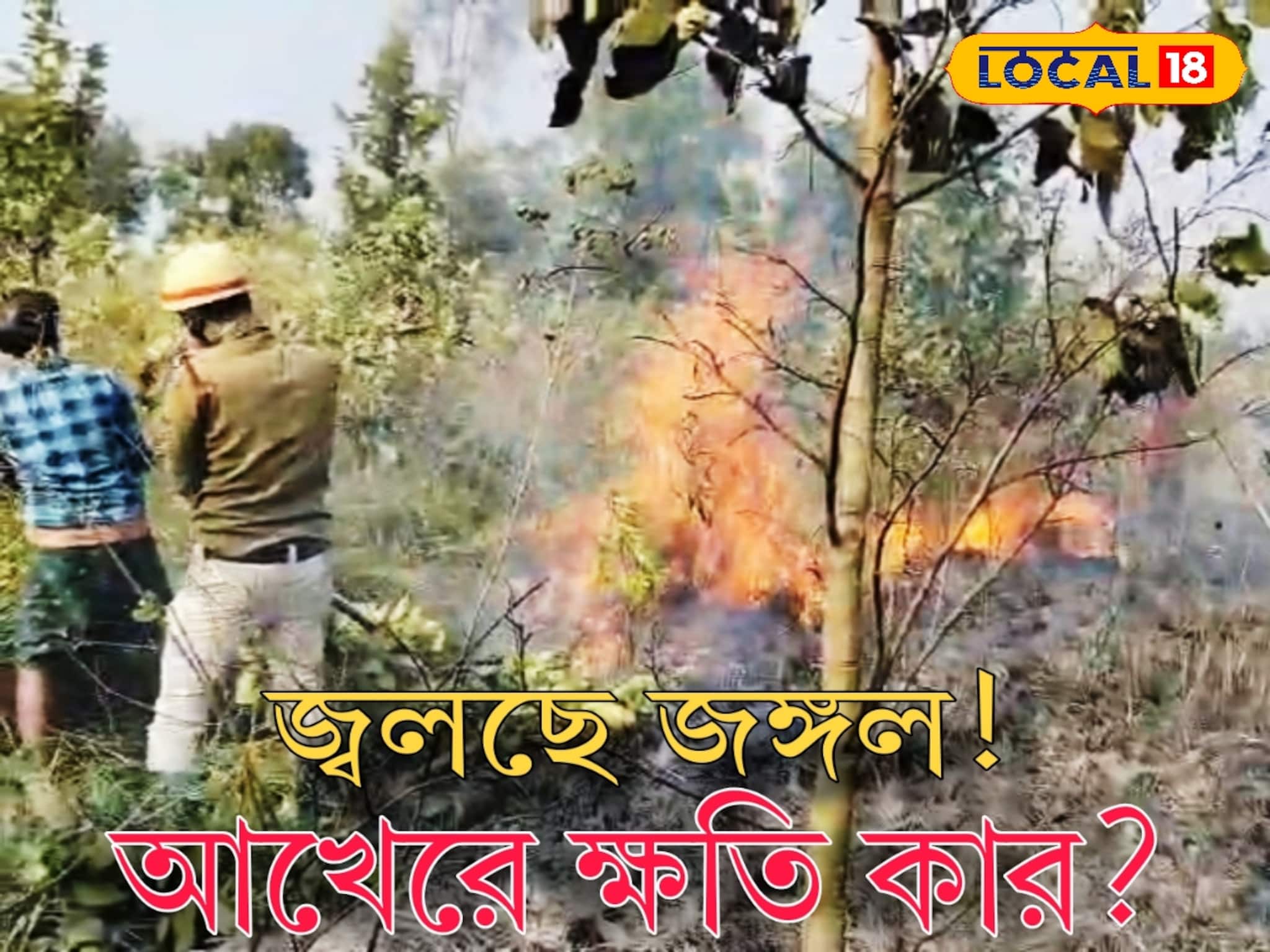 অতি উৎসাহীদের সাময়িক আনন্দে ব্যাপক ক্ষতি পরিবেশের! জঙ্গলে আগুন বিপদে ফেলছে সকলকে