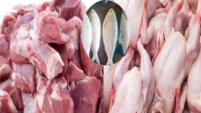 খাসি, মাছ ও মাংস ফ্রিজে কতদিন ভাল থাকে? কখন নষ্ট হয়? সংরক্ষণের সঠিক নিয়ম জানুন এই প্রতিবেদনে।