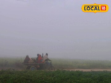 কুয়াশার সঙ্গে শীতল হাওয়ার দাপট, বেশকিছু জেলায় নেই সূর্যের দেখা! 'দার্জিলিং দার্জিলিং' ভাব