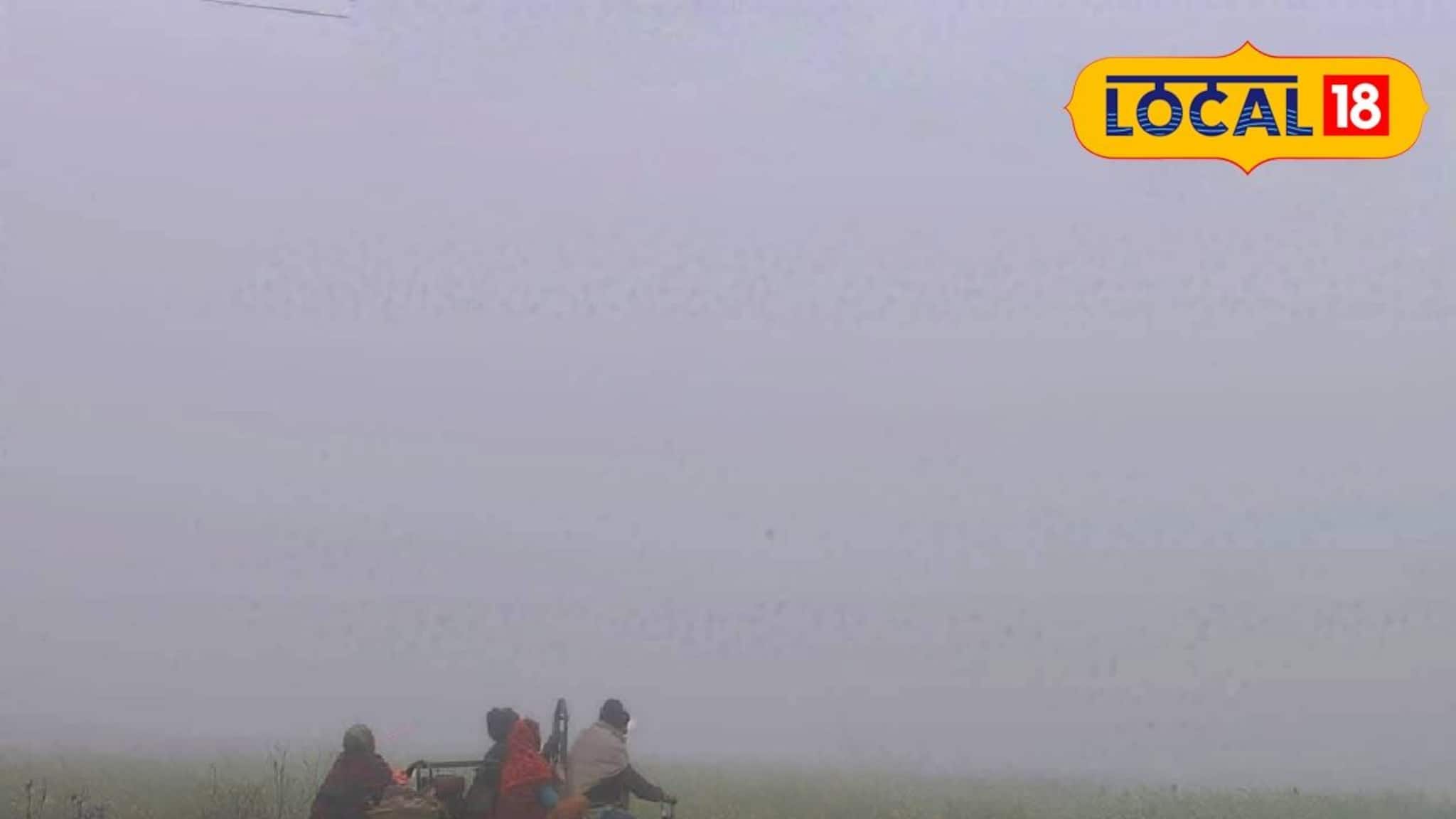 Jhargram Weather Today: কুয়াশার দাপট আর হাড় কাঁপানো ঠান্ডা ঝাড়গ্রামে এনেছে শীতের আলাদা মেজাজ, জানুন কেমন থাকবে আজকের আবহাওয়া