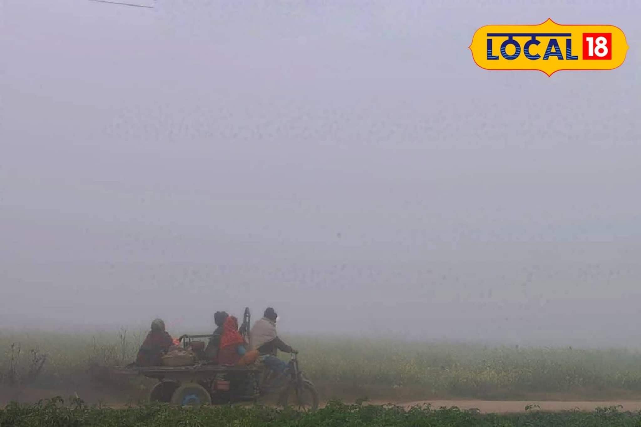 কুয়াশার দাপট আর হাড় কাঁপানো ঠান্ডা ঝাড়গ্রামে এনেছে শীতের আলাদা মেজাজ, জানুন কেমন থাকবে