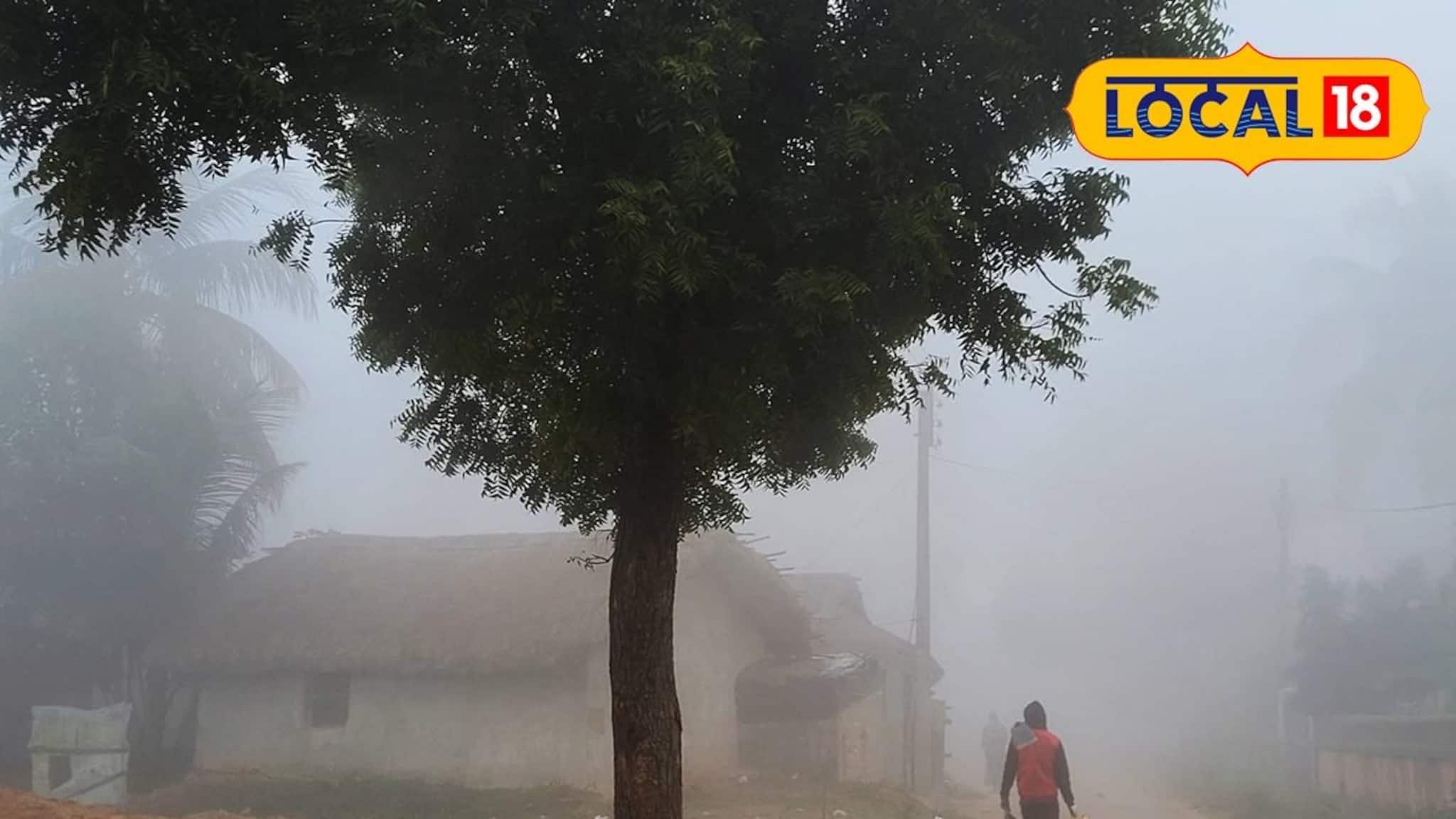 Jhargram Weather Today: কনকনে ঠান্ডার সঙ্গে কুয়াশার দাপট! কততে নামল পারদ, জানুন ঝাড়গ্রামের আজকের আবহাওয়ার আপডেট