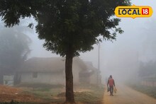 Jhargram Weather Today: কনকনে ঠান্ডার সঙ্গে কুয়াশার দাপট! কততে নামল পারদ, জানুন ঝাড়গ্রামের আজকের আবহাওয়ার আপডেট