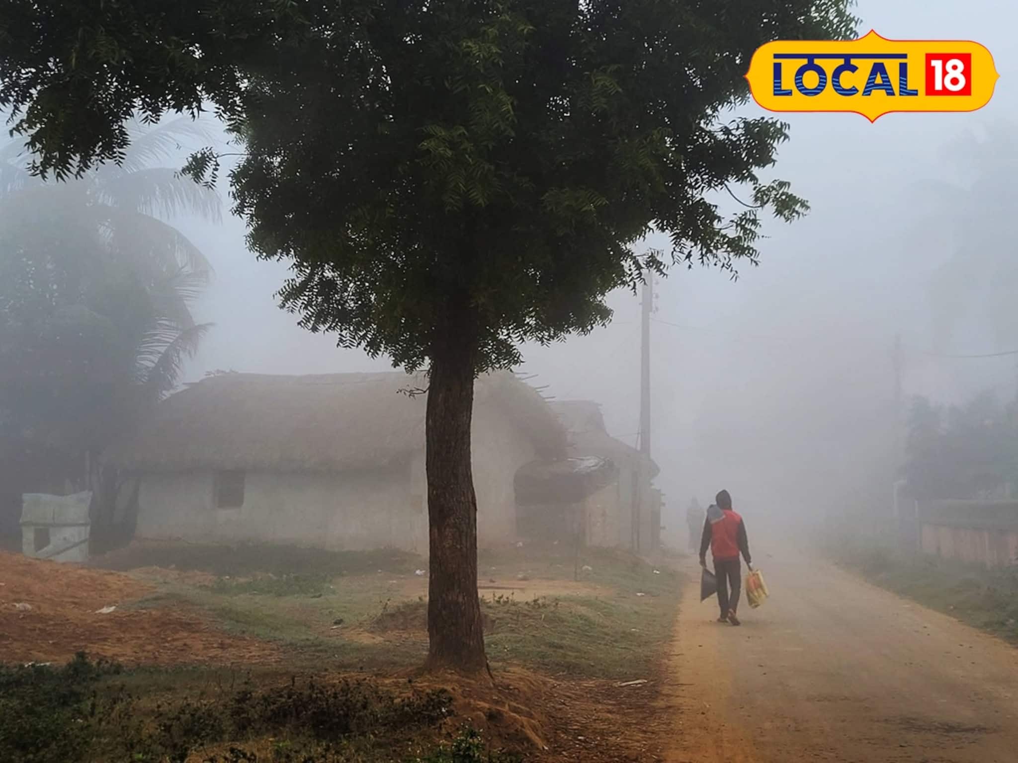 কনকনে ঠান্ডার সঙ্গে কুয়াশার দাপট! কততে নামল পারদ, জানুন ঝাড়গ্রামের আজকের আবহাওয়ার আপডেট