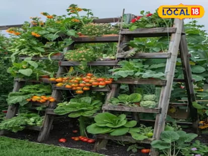 অনেকেই তাঁদের ছাদে বা বারান্দায় বাগান করতে পছন্দ করেন। অনেকে আবার বিশেষ করে শীতকালেই গাছ লাগাতে চান। কিন্তু কীভাবে এগোতে হবে, কীভাবে সব কিছু প্রস্তুত করতে হবে, তা জানেন না।কেউ যদি বাড়িতে বাগান শুরু করতে চান এবং বিশেষ করে এই মরশুমে সবজি চাষ করতে চান, তাহলে এই খবরটি তাঁর জন্য। এখানে, আমরা বাড়িতে সহজেই জন্মায় এমন পাঁচটি সবজি সম্পর্কে বলব, যা শীতকালে সহজেই চাষ করা যেতে পারে।