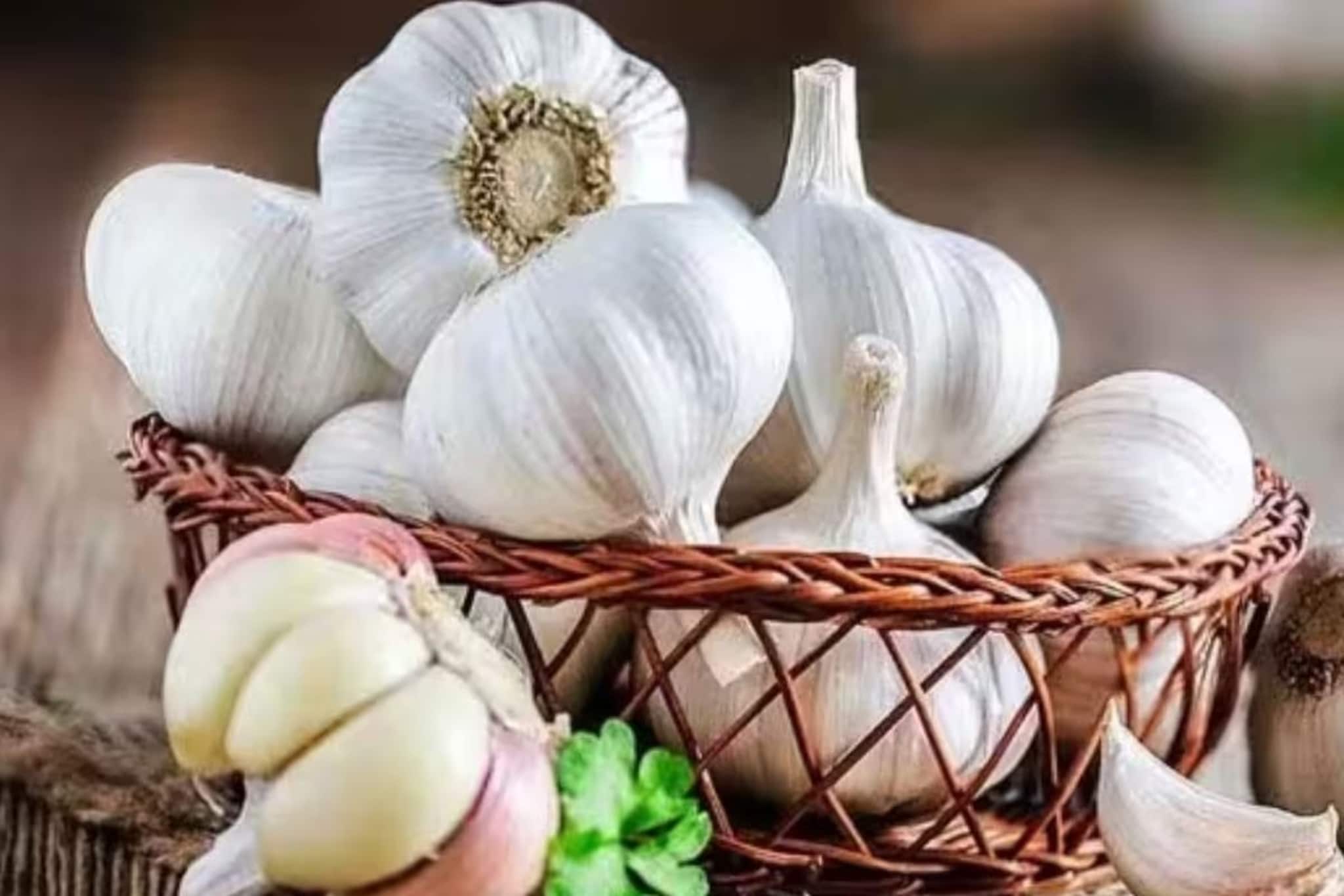 যত যাই হোক, ভুল করেও রসুন খাবেন না এই কয়েক ধরনের মানুষ! জেনে নিন বিশেষজ্ঞ কী বলছেন?