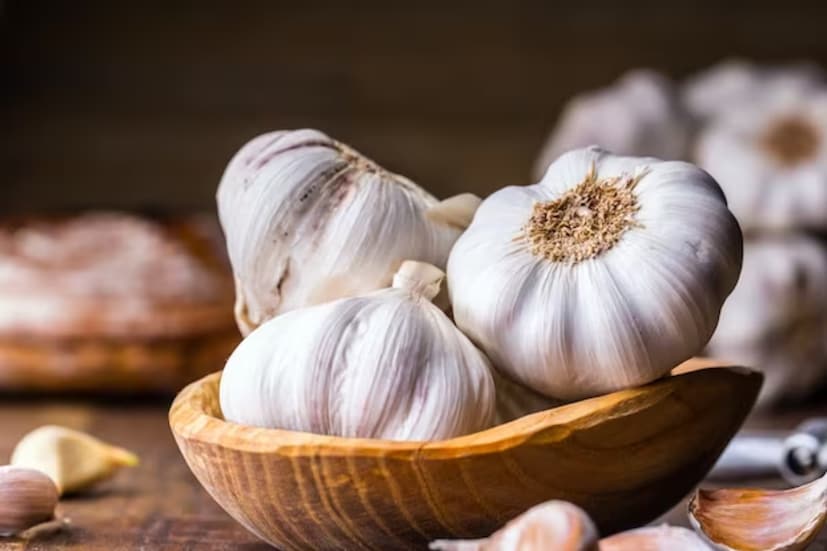 আয়ুর্বেদ বিশেষজ্ঞরা বলেন, রাতে ঘুমানোর আগে ২টি রসুনের কোয়া জলে ভিজিয়ে রাখুন, তারপর সকালে খেয়ে নিন। দারুণ রেজাল্ট পাবেন৷ 