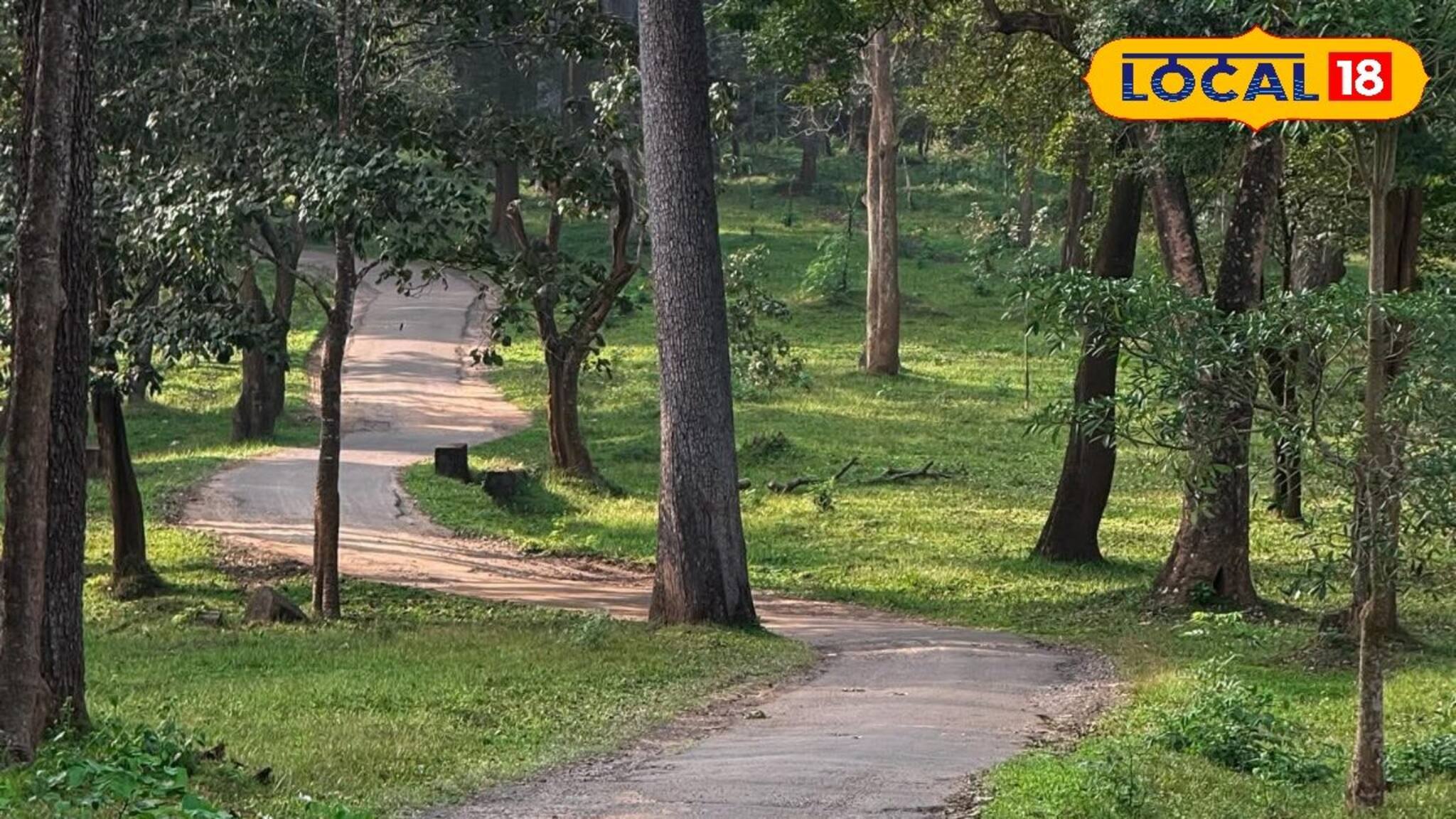 বড়দিনের আগে খুশির খবর! বৃহস্পতিবারও খোলা থাকবে গরুমারা জঙ্গল, বড় সিদ্ধান্ত কর্তৃপক্ষের