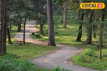 Jalpaiguri Gorumara Safari: বড়দিনের আগে খুশির খবর! বৃহস্পতিবারও খোলা থাকবে গরুমারা জঙ্গল, বড় সিদ্ধান্ত কর্তৃপক্ষের