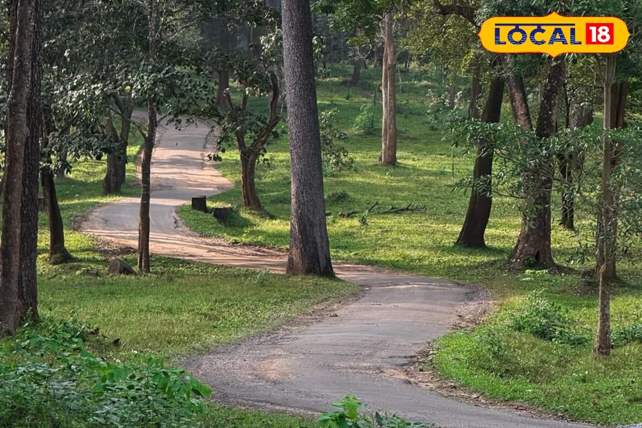 বড়দিনের আগে খুশির খবর! বৃহস্পতিবারও খোলা থাকবে গরুমারা জঙ্গল, বড় সিদ্ধান্ত কর্তৃপক্ষের