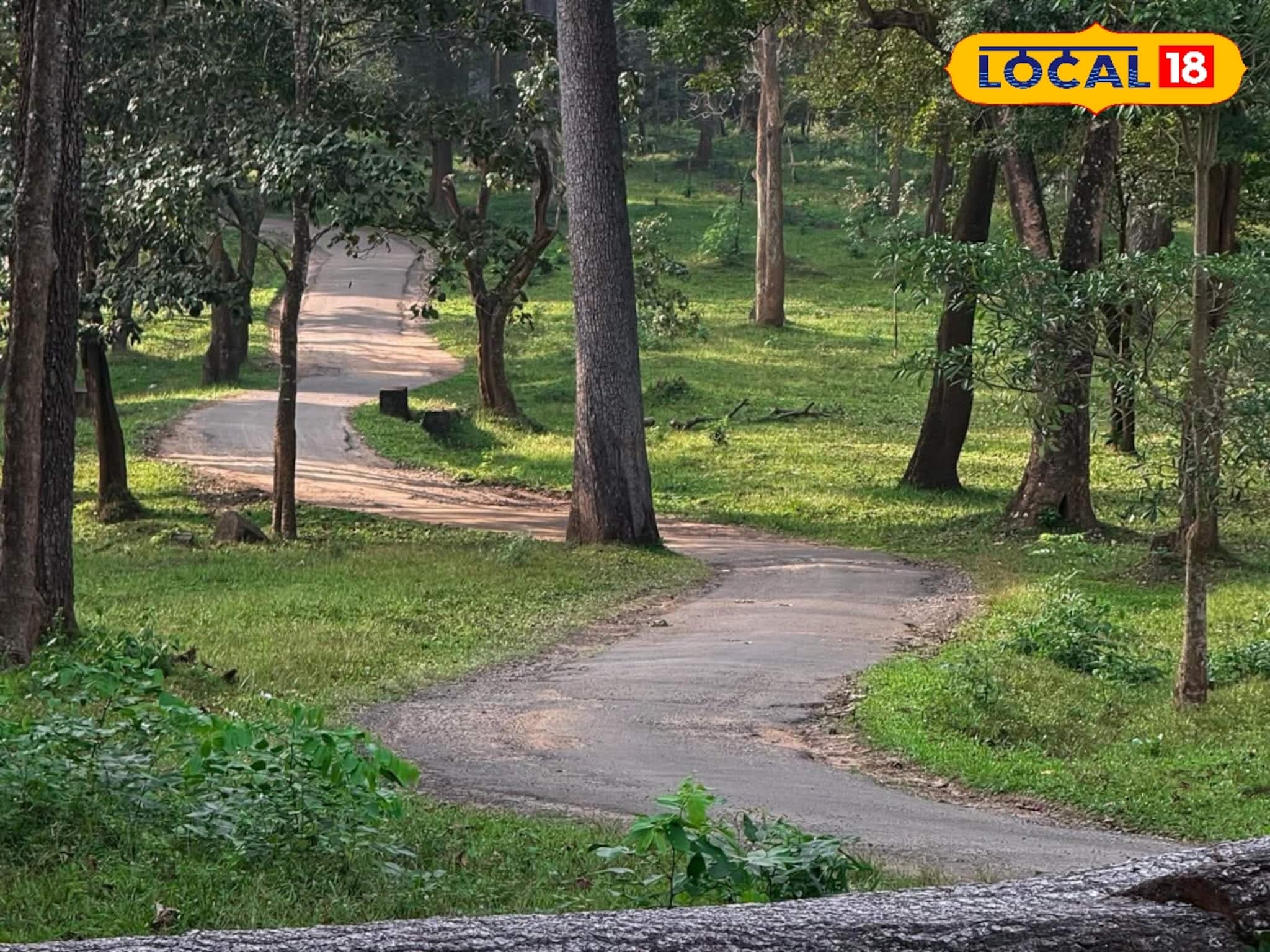 বড়দিনের আগে খুশির খবর! বৃহস্পতিবারও খোলা থাকবে গরুমারা জঙ্গল, বড় সিদ্ধান্ত কর্তৃপক্ষের