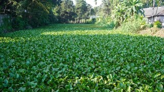 প্রতীকী চিত্র প্রতীকী চিত্র