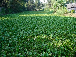 প্রতীকী চিত্র প্রতীকী চিত্র