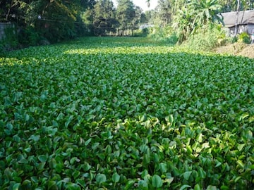 প্রতীকী চিত্র প্রতীকী চিত্র