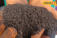 Money Making Tips: কেঁচোসার তৈরি করে মালামাল হওয়ার বড় সুযোগ, সরকার দেবে ১০০ শতাংশ ভর্তুকি! আবেদন পদ্ধতি জানুন