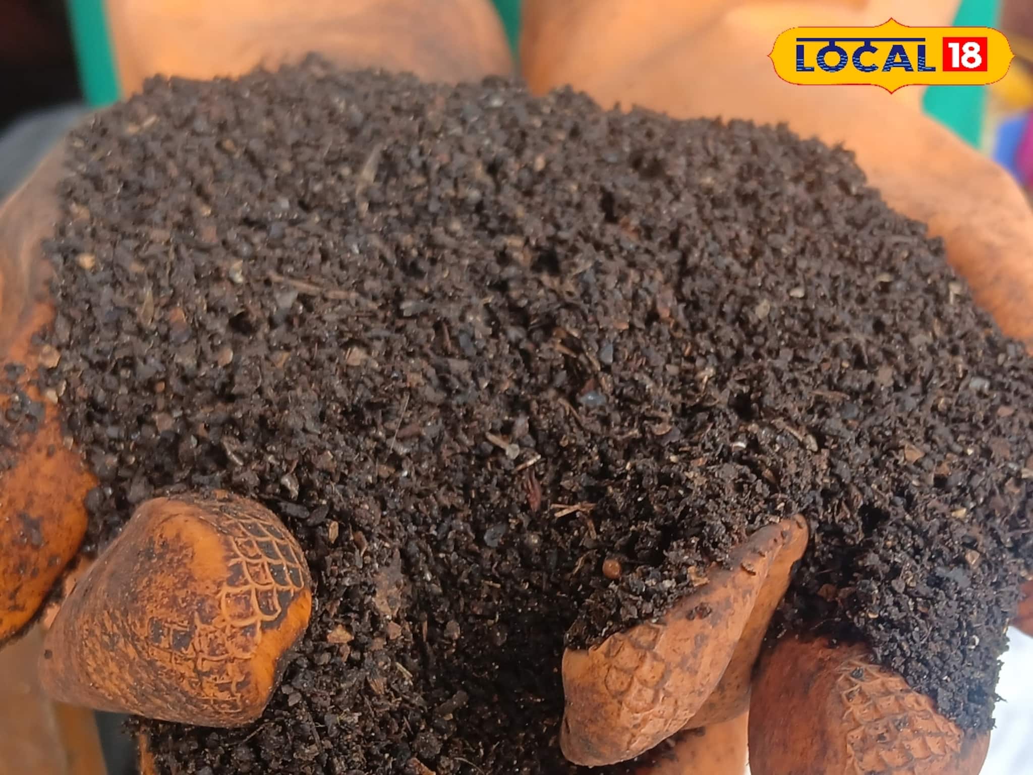 কেঁচোসার তৈরি করে মালামাল হওয়ার সুযোগ, সরকার দেবে ভর্তুকি! সহজে করুন আবেদন