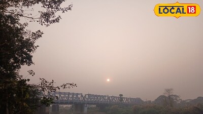 উলুবেড়িয়ার দামোদর পাড়