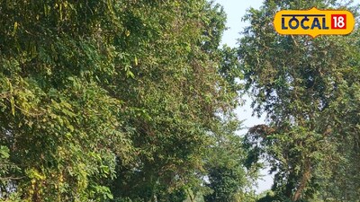 হাওড়ার রাস্তা