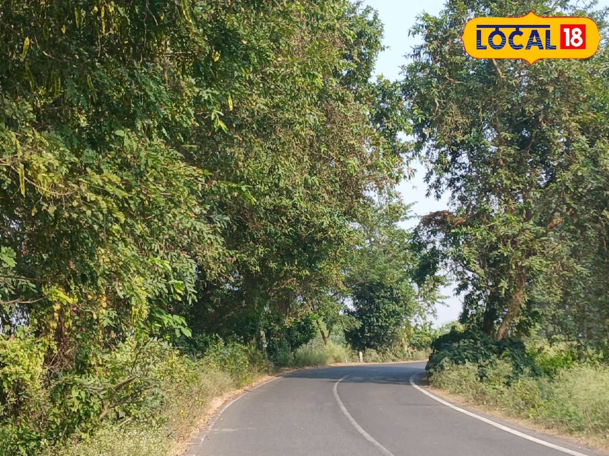 শীতের দুপুর-সন্ধ্যা, মন ভাল করার অপরূপ জায়গা! ক্ষণিকের জন্য হলেও অনেকেই ঢুঁ মারেন হাওড়ায়