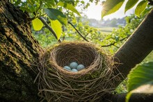 Astro Tips: বাড়িতে চড়ুই পাখির বাসা বাঁধার অর্থ জানা নেই অনেকেরই! শুভ নাকি অশুভ, জানাচ্ছেন বাস্তু পরামর্শক