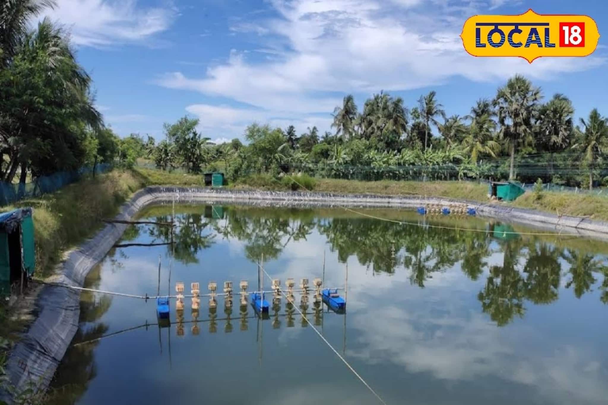 উচ্চমাধ্যমিকের পর একটি বিষয় নিয়ে পড়াশুনা মোড় ঘুরিয়ে দিতে পারে পড়ুয়াদের জীবনে উচ্চমাধ্যমিকের পর একটি বিষয় নিয়ে পড়াশুনা মোড় ঘুরিয়ে দিতে পারে পড়ুয়াদের জীবনে