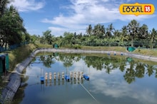 Career Guide: কাজের গ্যারান্টি কয়েকগুণ! উচ্চমাধ্যমিকের পর একটি বিষয় নিয়ে পড়াশুনা মোড় ঘুরিয়ে দিতে পারে পড়ুয়াদের জীবনে, বলছেন বিশেষজ্ঞরা