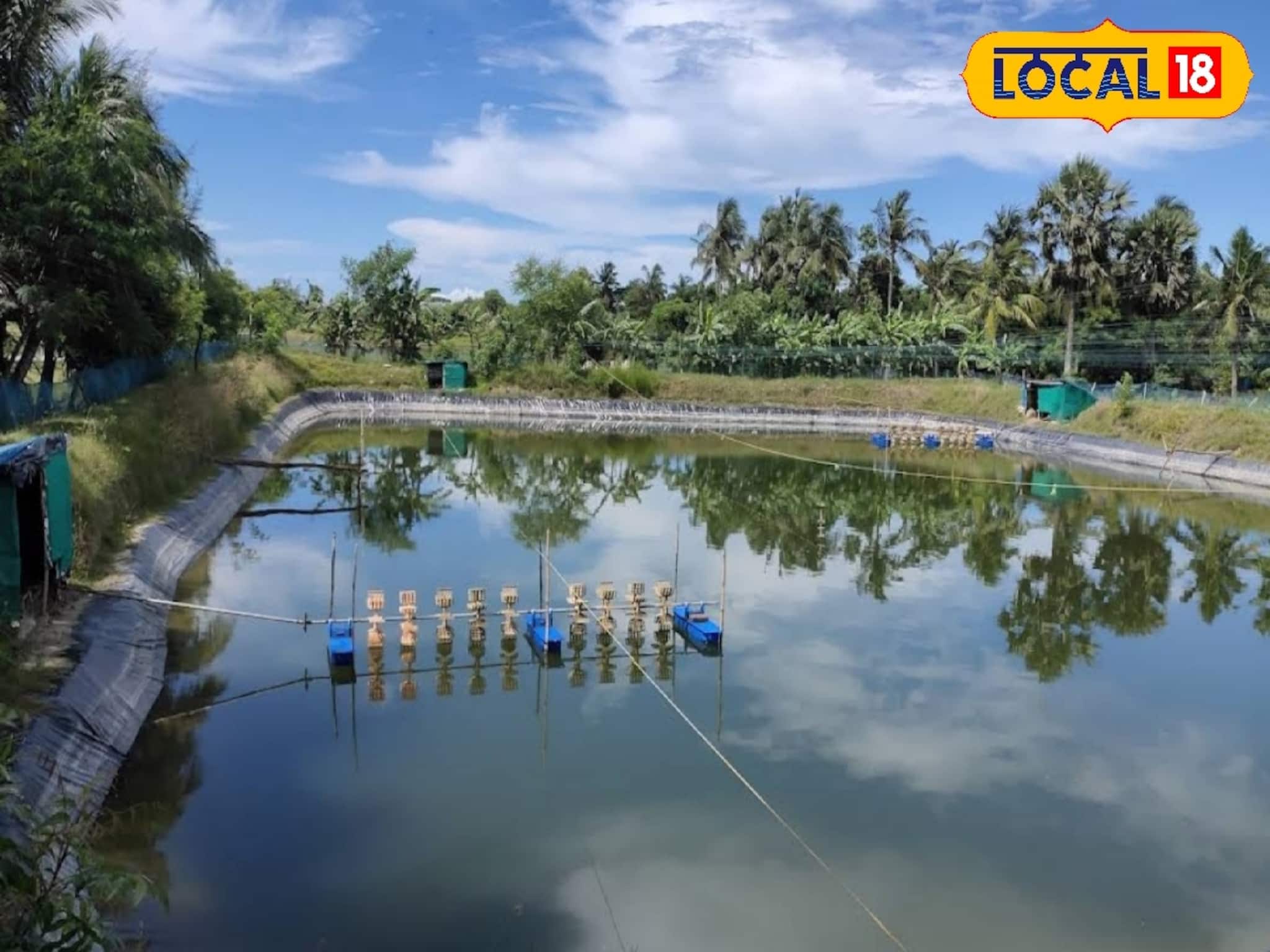 উচ্চমাধ্যমিকের পর একটি বিষয় নিয়ে পড়াশুনা মোড় ঘুরিয়ে দিতে পারে পড়ুয়াদের জীবনে উচ্চমাধ্যমিকের পর একটি বিষয় নিয়ে পড়াশুনা মোড় ঘুরিয়ে দিতে পারে পড়ুয়াদের জীবনে