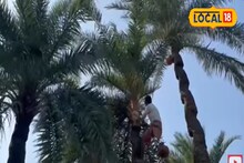 সবচেয়ে সুস্বাদু জিরেন কাঠের গুড় খেয়ে দেখুন, একবার খেলে জিভে লেগে থাকবে স্বাদ