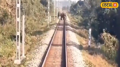 রেললাইনে হাতির পাল