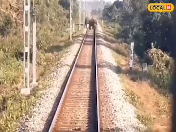 রেললাইনে