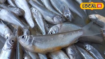 প্রতিকী