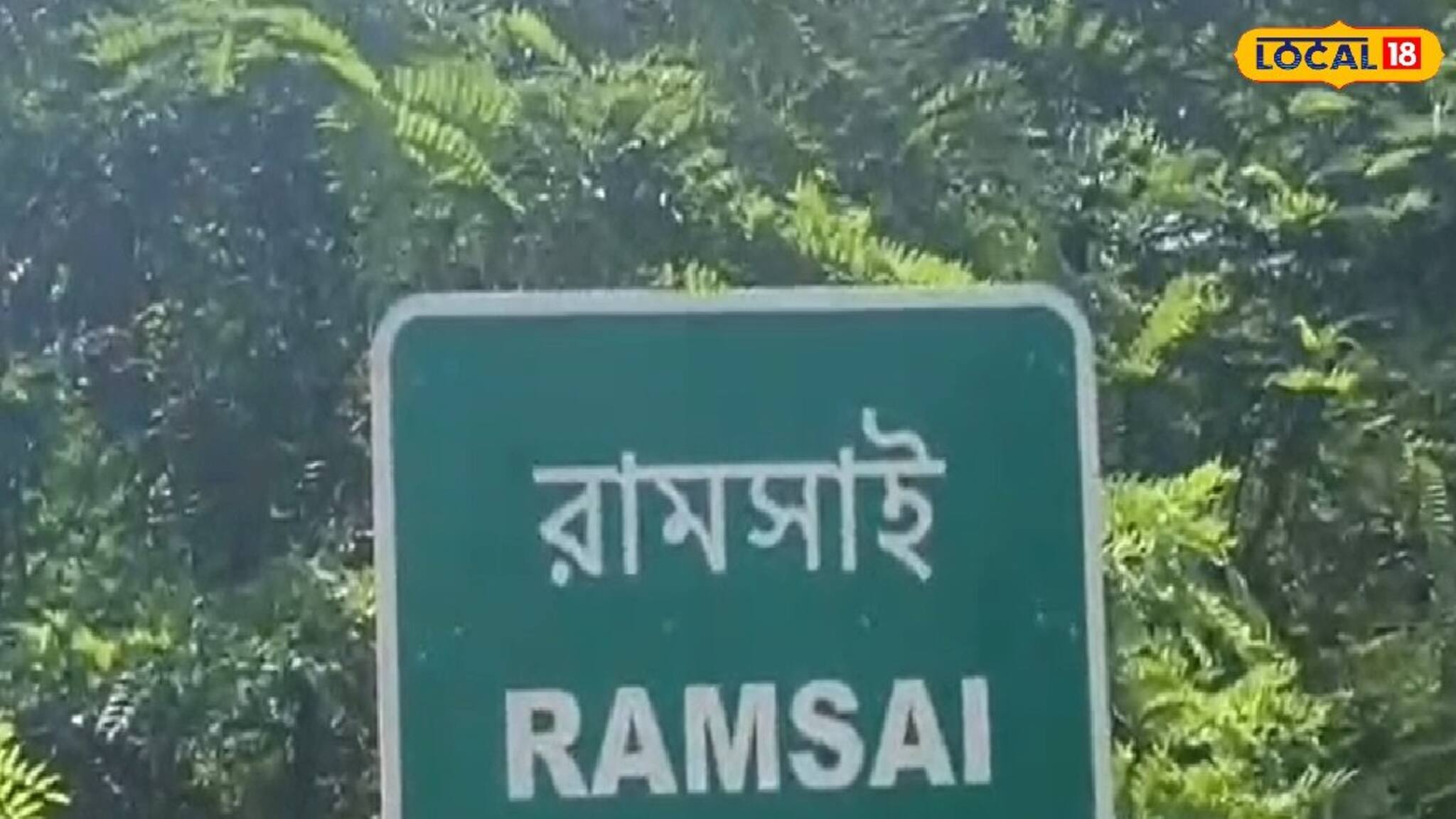 Elephant Attack: জঙলি হাতির হানায় প্রাণ গেল গো-পালকের, ভয়াবহ দৃশ্য দেখে প্রাণপণে ছুটলেন মহিলারা