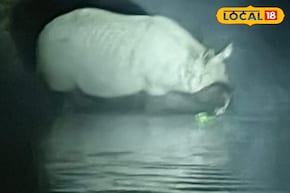 জলপান করতে পর্যটকদের কাছাকাছি হাজির গণ্ডার, খবর পেয়েই দেখতে ছুটল সবাই