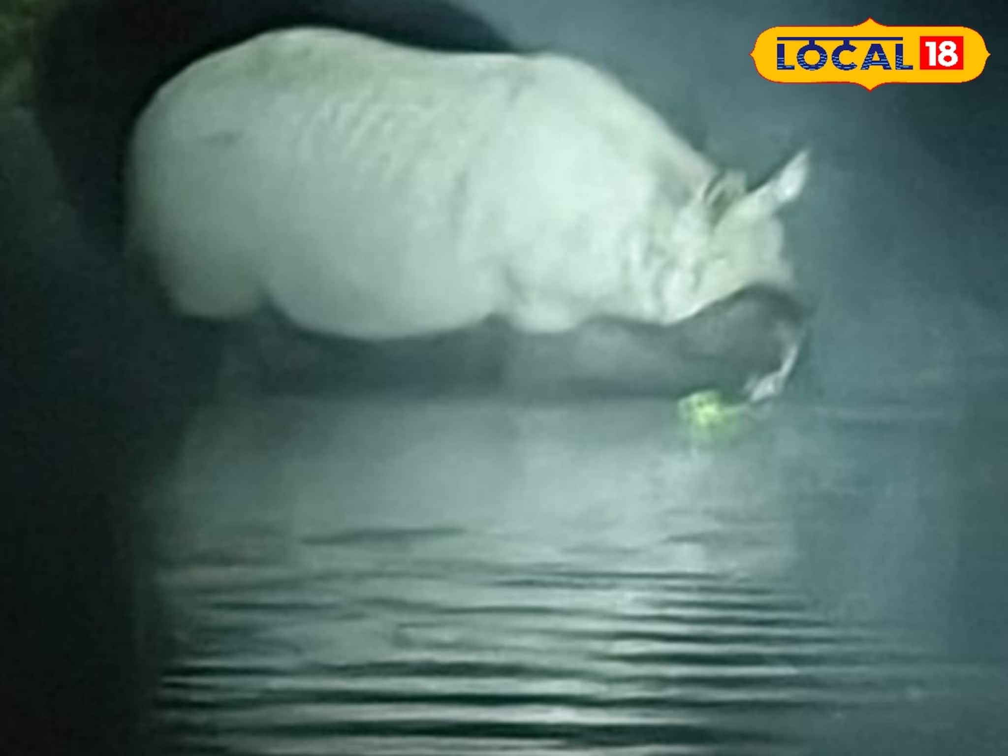 জলপান করতে পর্যটকদের কাছাকাছি হাজির গণ্ডার, খবর পেয়েই দেখতে ছুটল সবাই