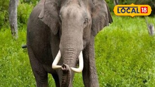 প্রতিকী ছবি