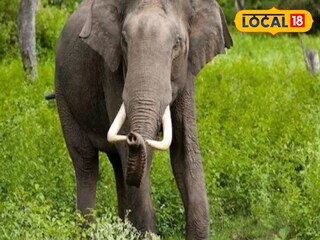 প্রতিকী ছবি