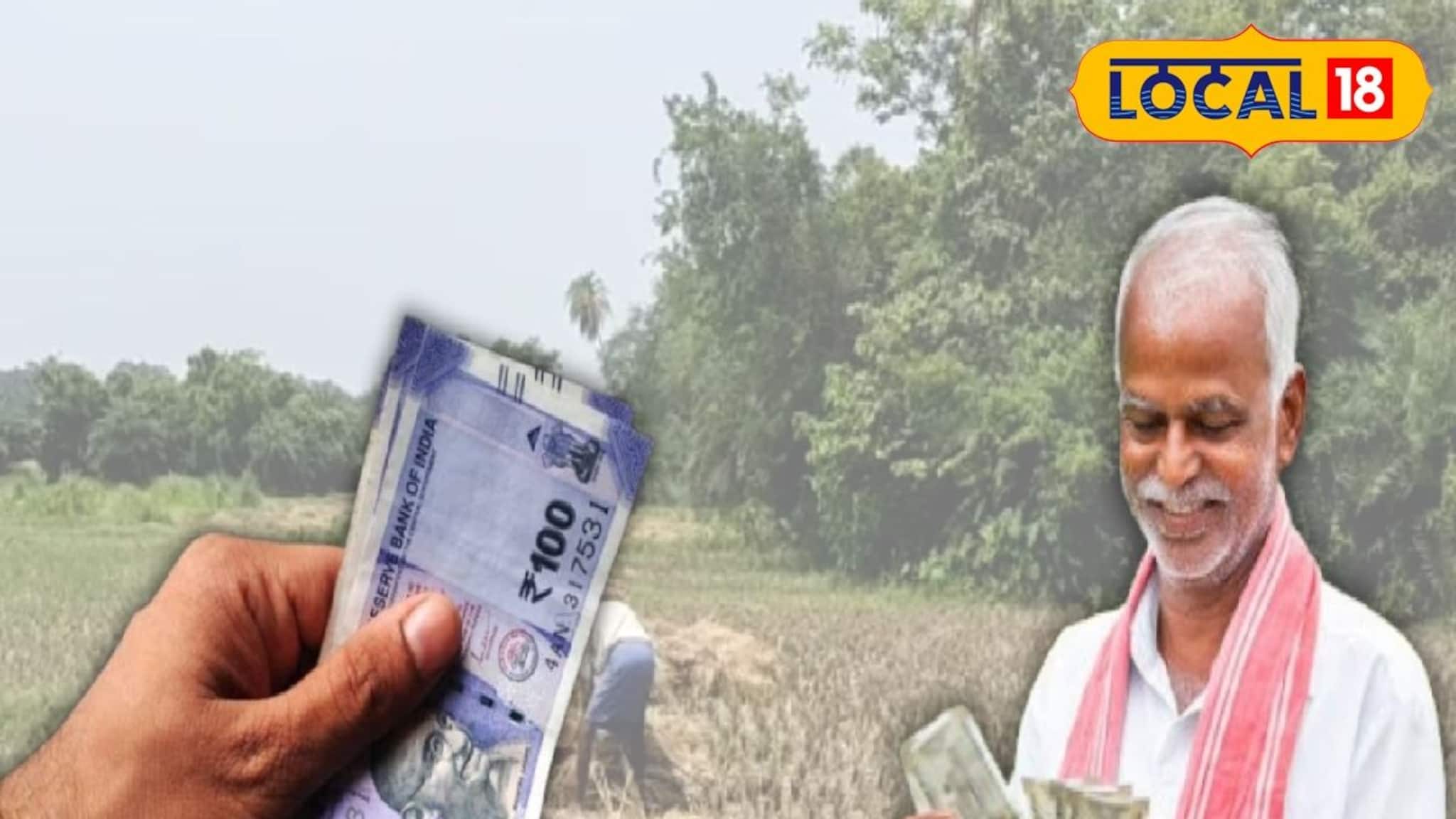 Marigold Cultivation: রুক্ষ্ম জমিতে ধান, সব্জিতে হচ্ছিল না লাভ! এরই মাঝে নতুন চাষের আইডিয়া, ৩৬০ ডিগ্রি মোড় ঝাড়গ্রামের চাষিদের জীবনে