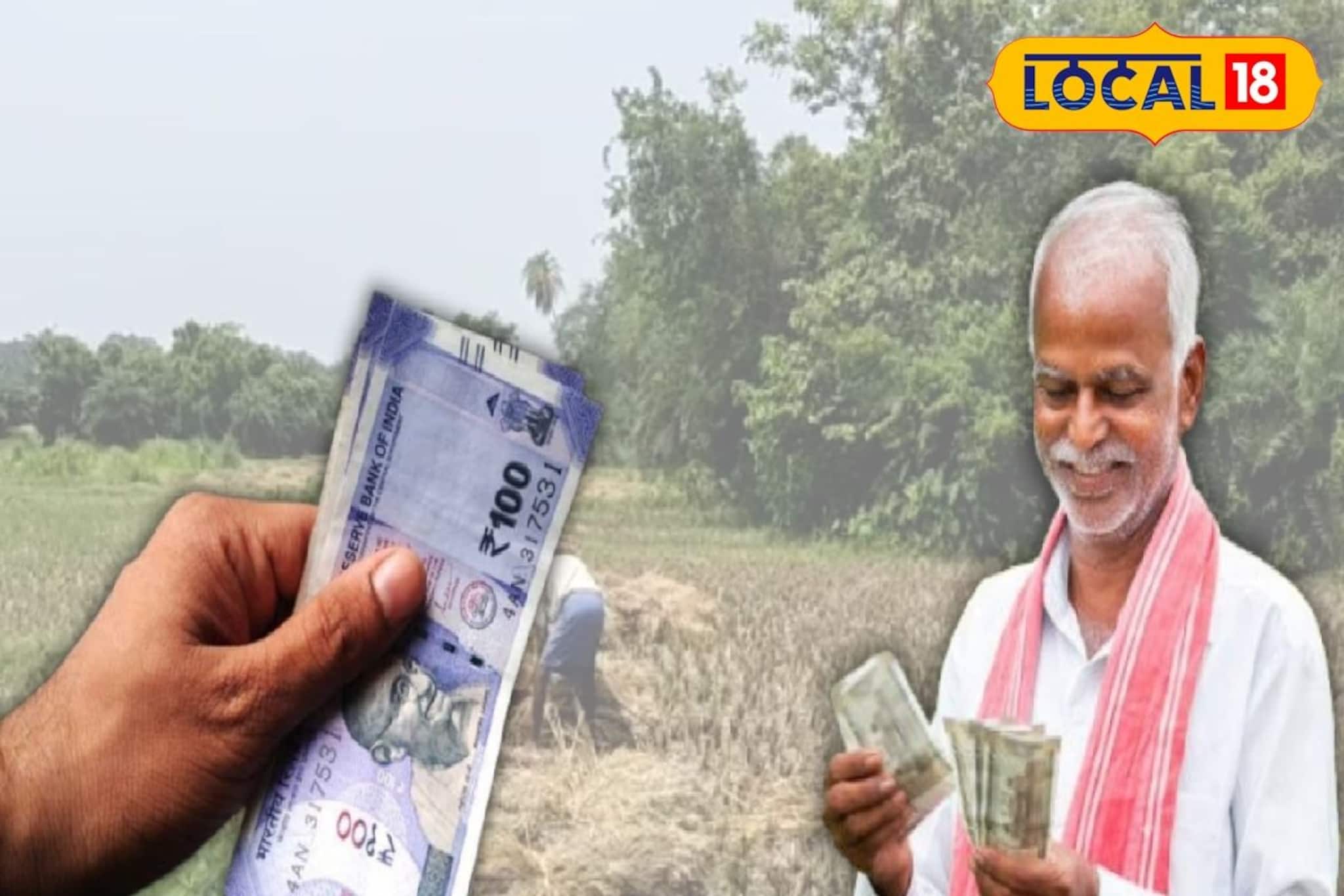 Marigold Cultivation: রুক্ষ্ম জমিতে ধান, সব্জিতে হচ্ছিল না লাভ! এরই মাঝে নতুন চাষের আইডিয়া, ৩৬০ ডিগ্রি মোড় ঝাড়গ্রামের চাষিদের জীবনে