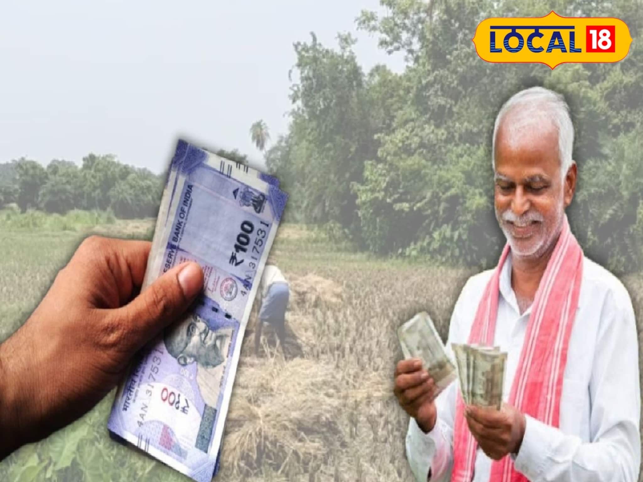 Marigold Cultivation: রুক্ষ্ম জমিতে ধান, সব্জিতে হচ্ছিল না লাভ! এরই মাঝে নতুন চাষের আইডিয়া, ৩৬০ ডিগ্রি মোড় ঝাড়গ্রামের চাষিদের জীবনে