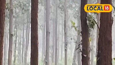 ঝাড়গ্রামের আজকের আবহাওয়া