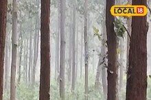 Jhargram Weather Today: ব্যাপক ঠান্ডা, ব্যাপক কুয়াশা! শীতের ভরপুর আমেজ ঝাড়গ্রামে, জানুন আবহাওয়ার লেটেস্ট আপডেট