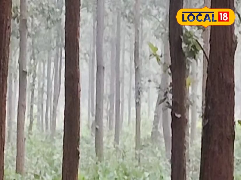 বর্তমানে ঝাড়গ্রাম জেলার বিভিন্ন এলাকায় শীতের কামড় শুরু হওয়ার পরিপ্রেক্ষিতে শীতপ্রেমীদের মধ্যে খুশির হাওয়া লক্ষ্য করা যাচ্ছে। পাশাপাশি শীতের আগমনে পর্যটন শিল্পেও নতুন জোয়ার আসবে বলেও আশা করা হচ্ছে।