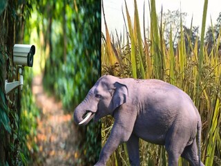 প্রতিকী ছবি