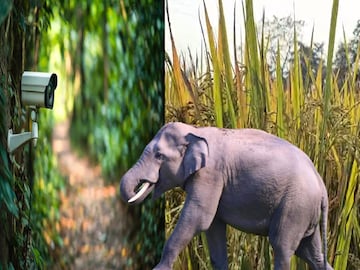 প্রতিকী ছবি