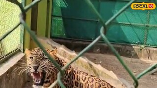 জঙ্গলমহল জুলজিক্যাল পার্ক